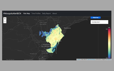 Barcelona elabora un mapa para predecir el riesgo de que te pique un mosquito tigre